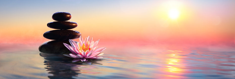 Zen Concept, Photo of spa stones and waterlily Lake