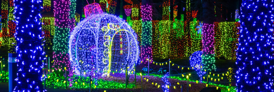Holiday light in the shape of an ornament, surrounded by decorated trees