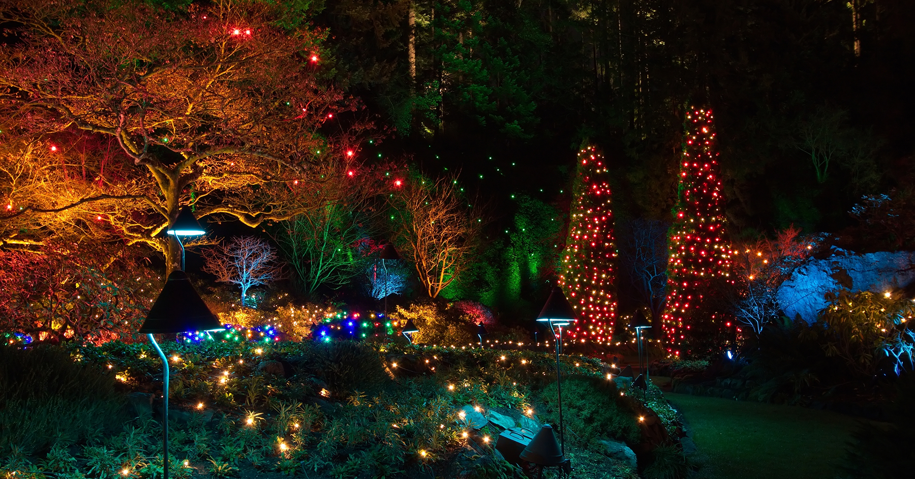 Christmas lights in The Butchart Gardens